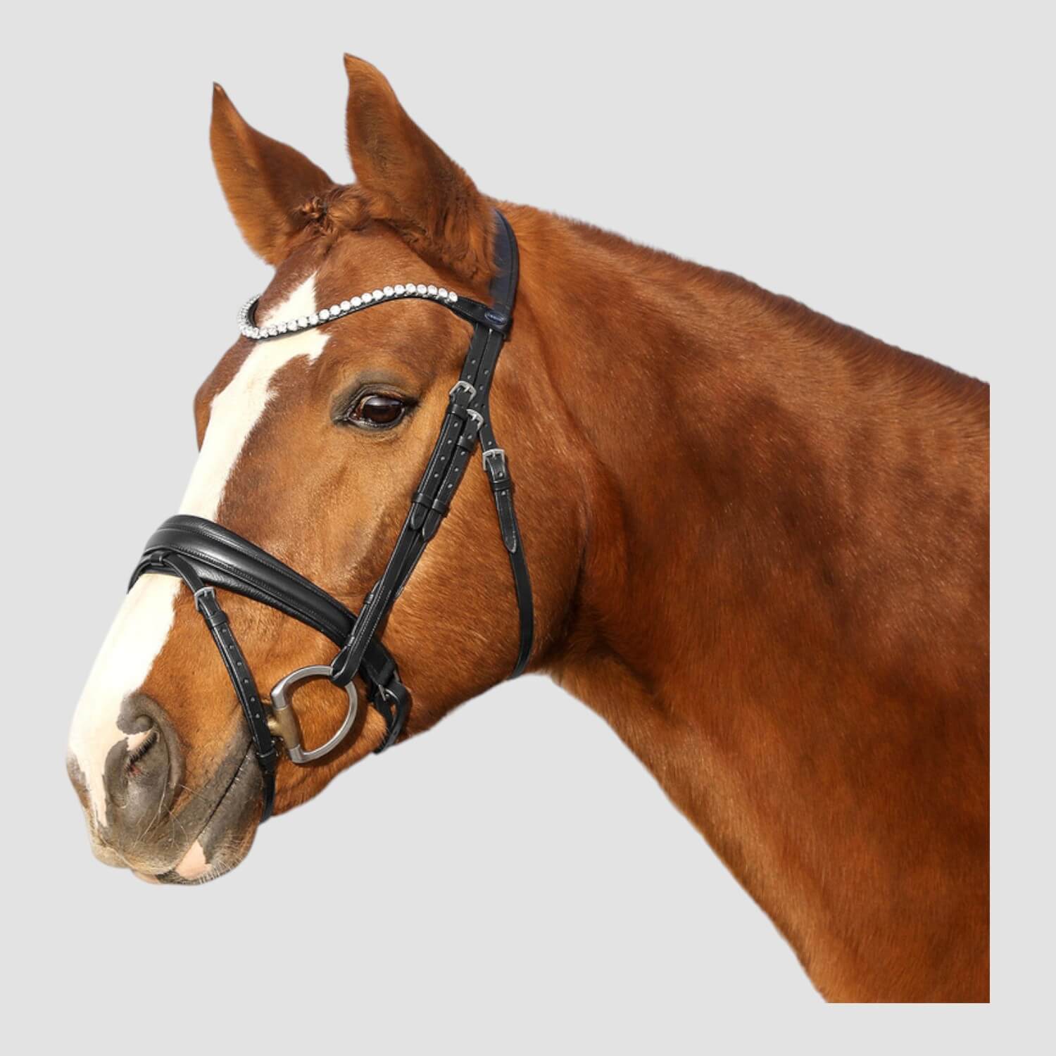 Euroriding Trense Sensitiv Schwedisches Reithalfter Ohne Zügel