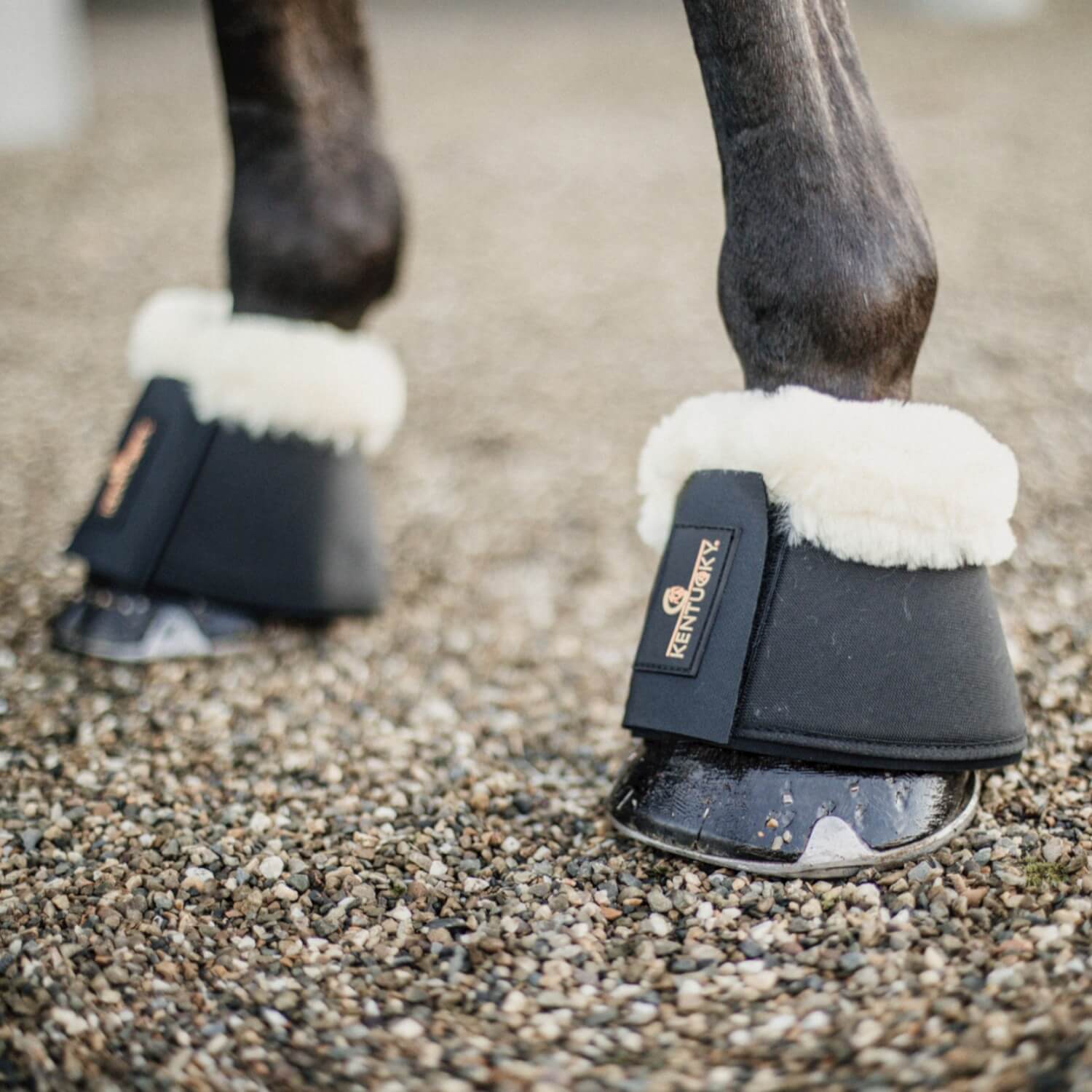 Kentucky Sprungglocken Lammfell Schwarz