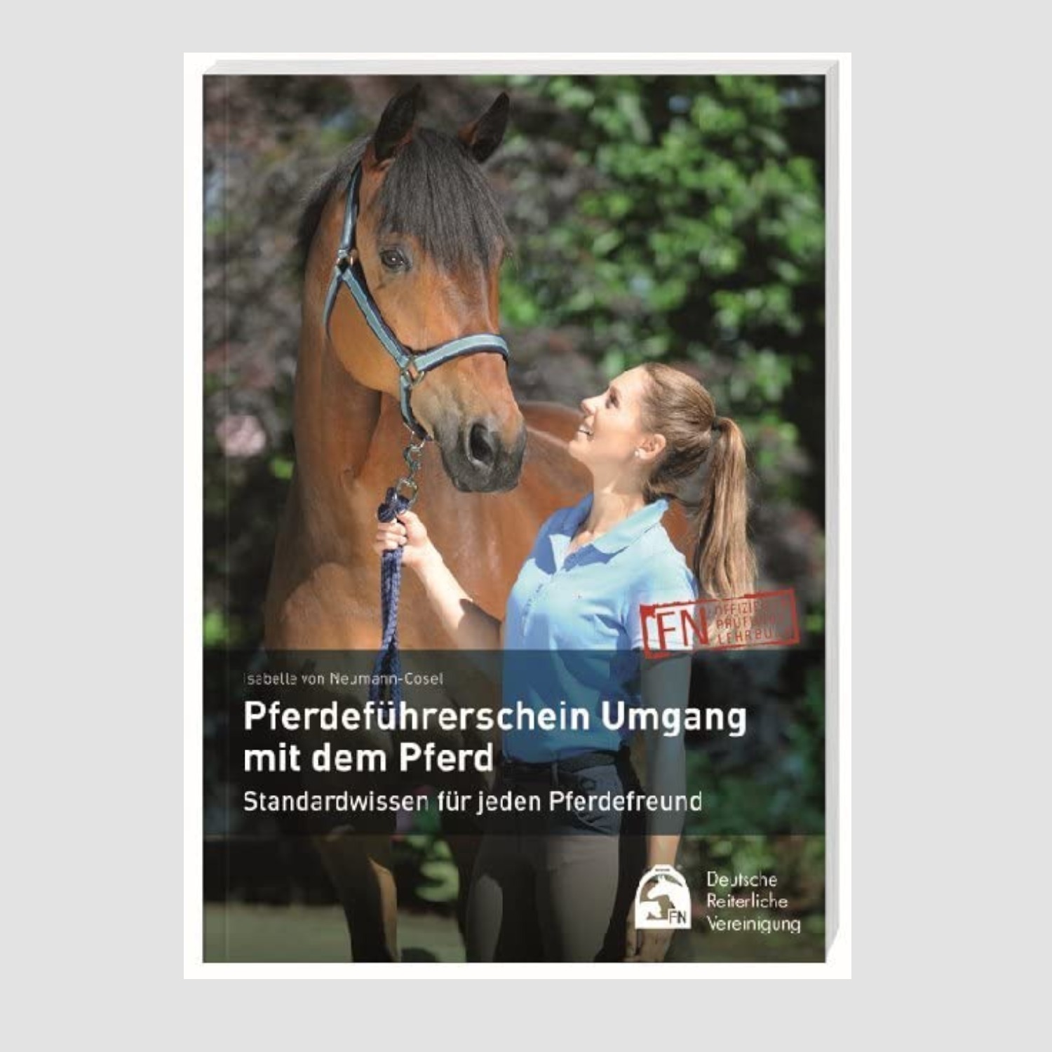 Pferdeführerschein Umgang mit dem Pferd