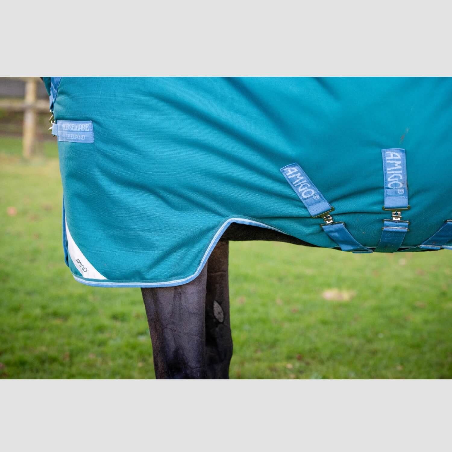 Horseware Amigo Bravo 12 Wug Lite 0g Storm Green/Turquoise, Aqua Horseware Amigo Bravo 12 Wug Lite 0g Storm Green/Turquoise, Aqua