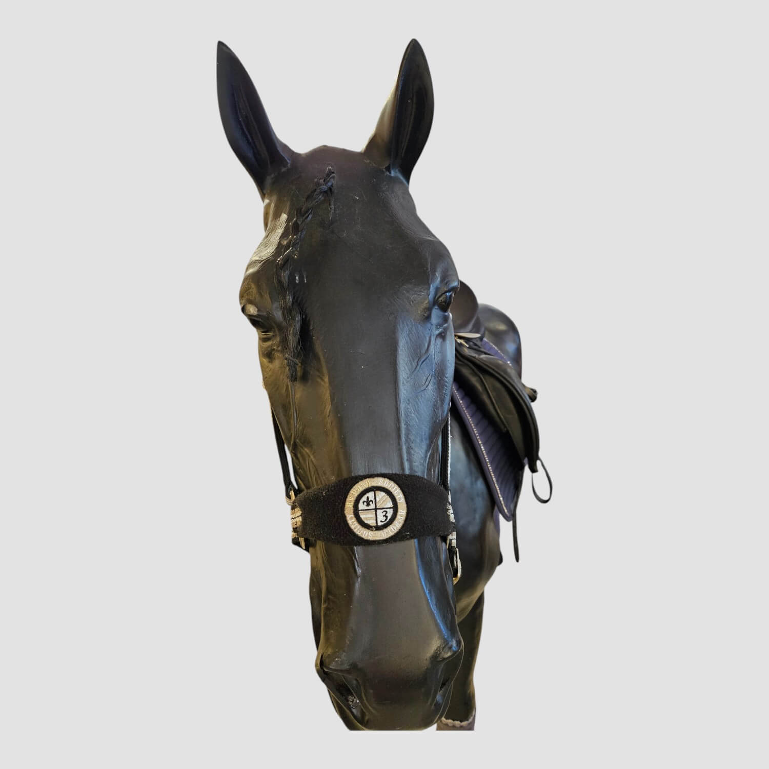 HV Polo Halfter + Strick Favouritas