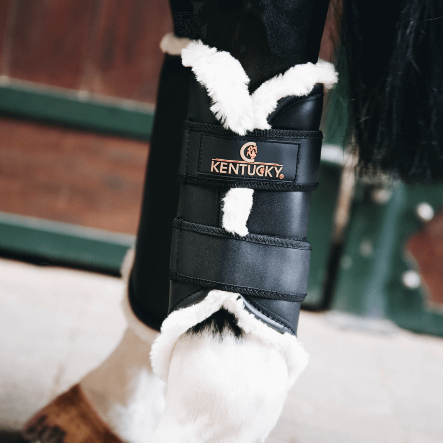 Kentucky Horsewear Arbeitsgamasche (Kunst-)leder hinten