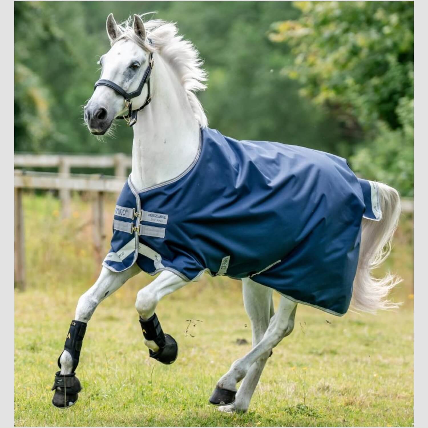 Horseware Weidedecke Amigo Bravo 12 Original 100 g