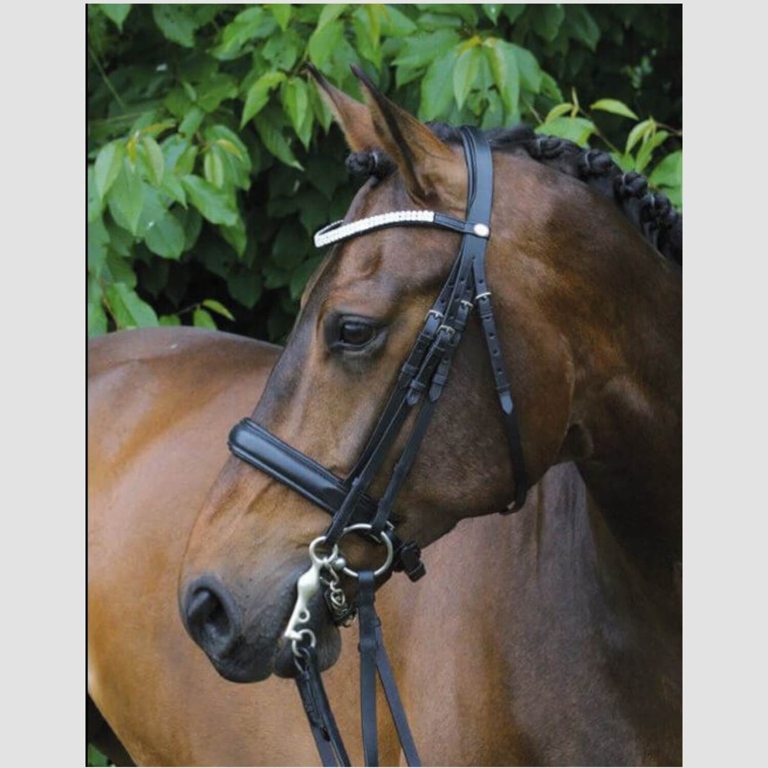 Hans Melzer Kandare Aachen Schwarz/Silber