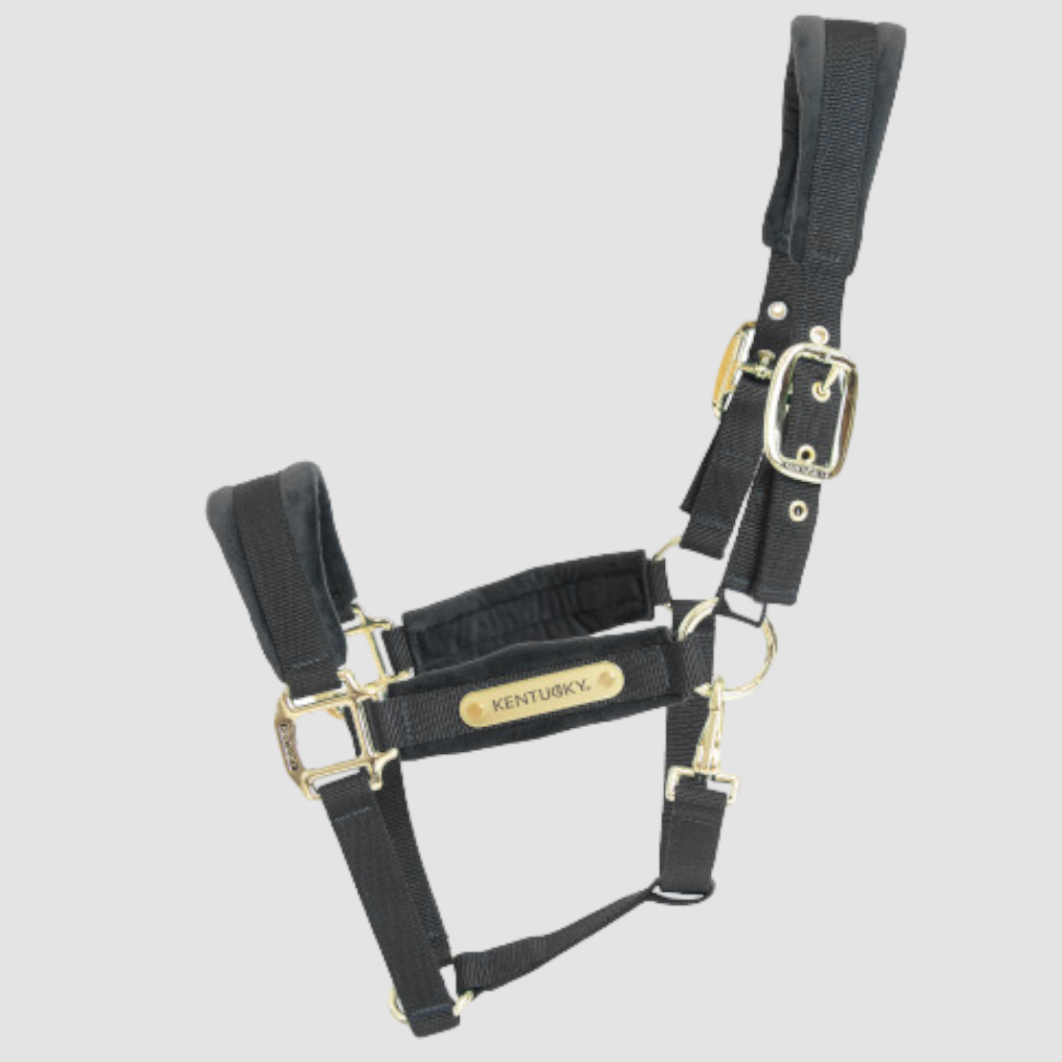 Kentucky Halfter Velvet