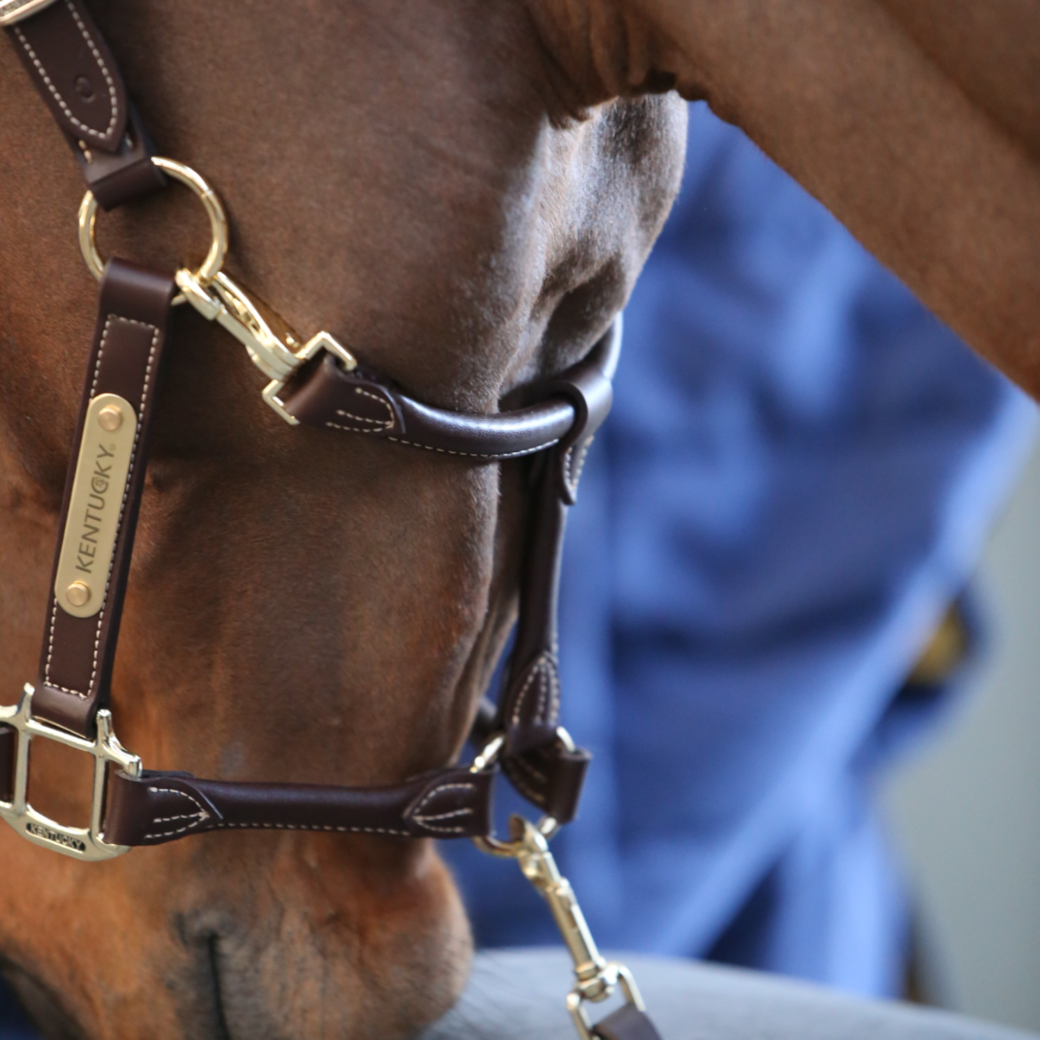 Kentucky Anatomisches Lederhalfter braun