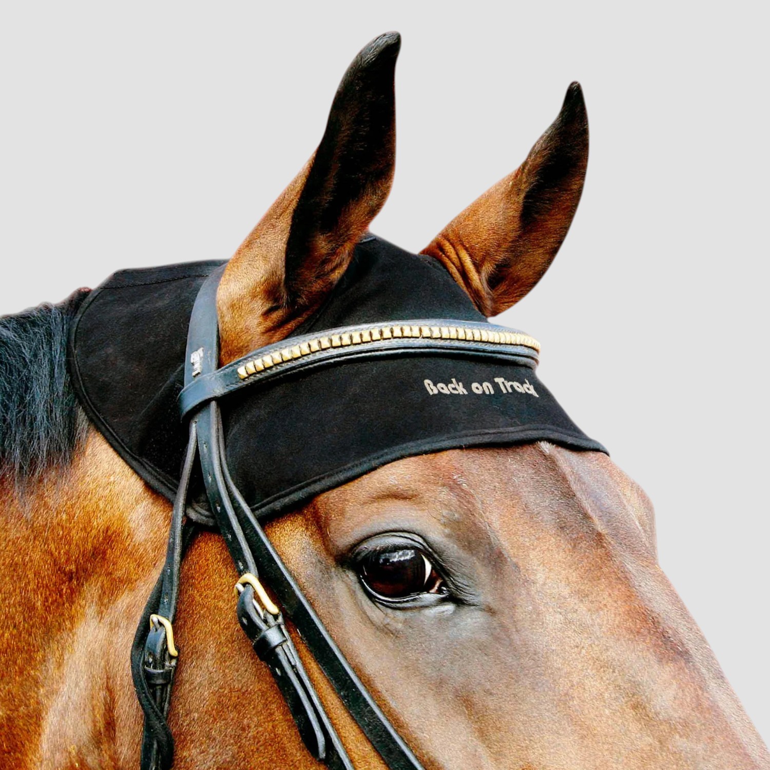 Back on Track Genickschoner Black