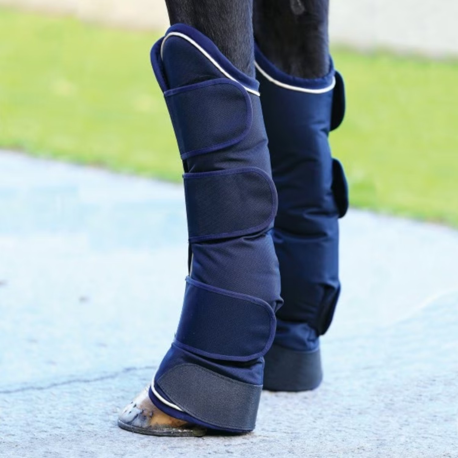 Navy/Cream