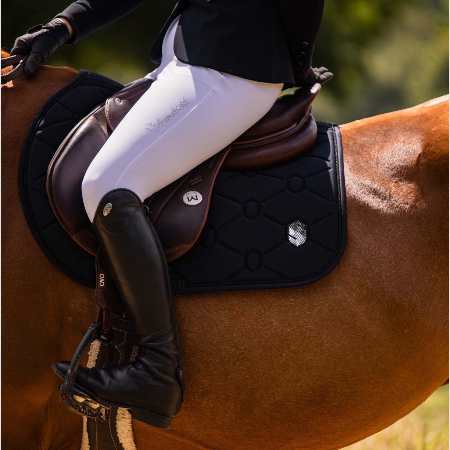 Samshield Schabracke Swarovski