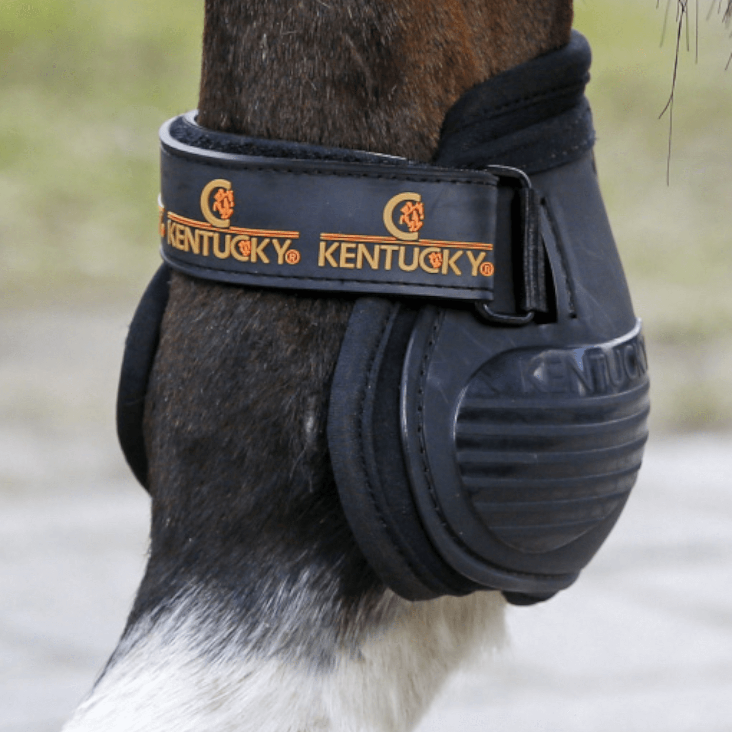 Kentucky Streichkappe Moonboots