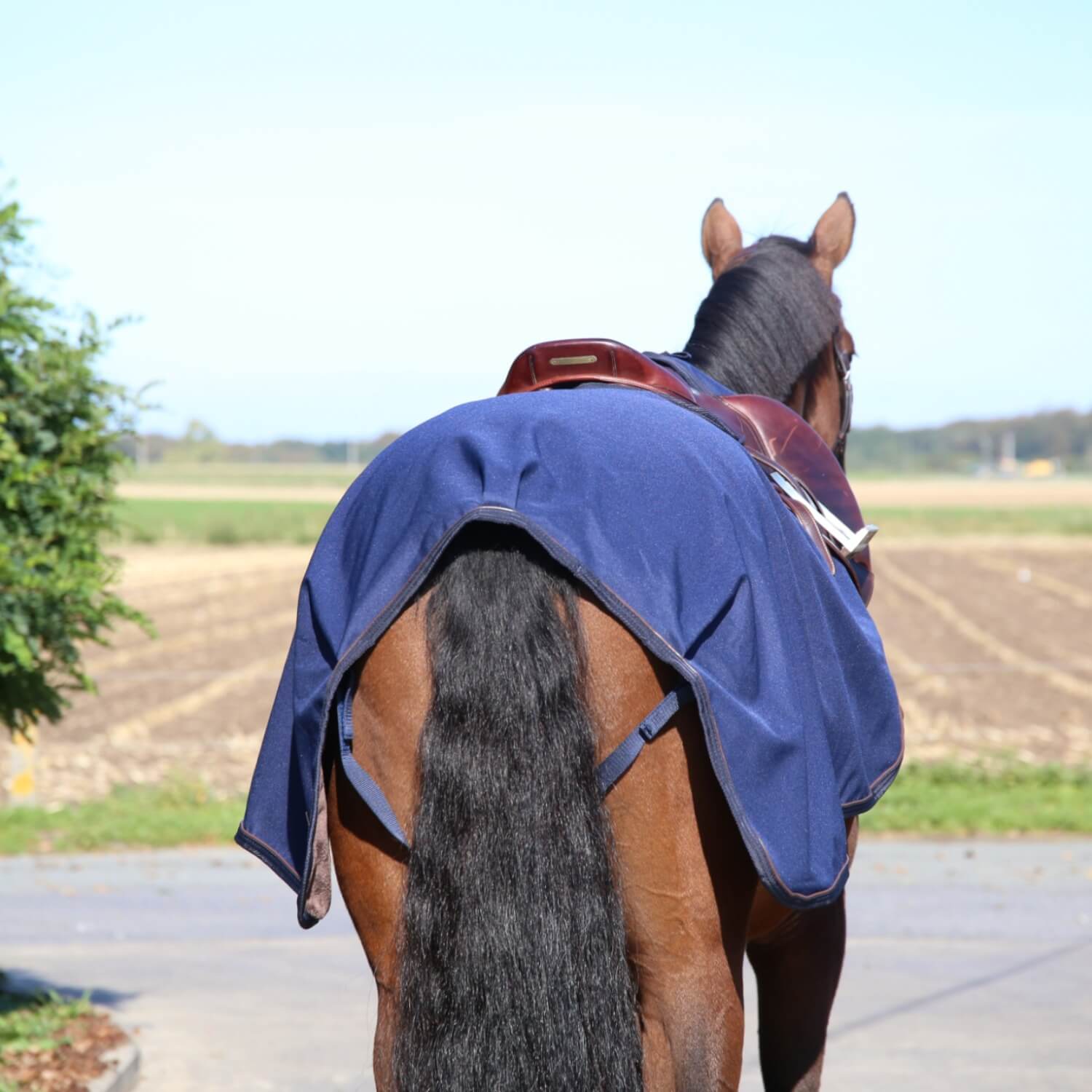 Kentucky Horsewear Ausreitdecke wasserdicht marine