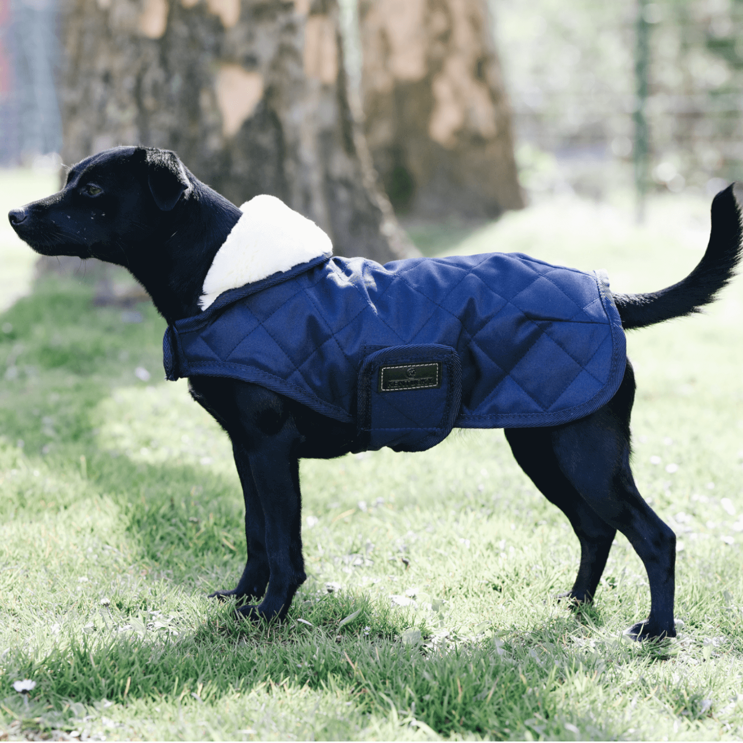 Kentucky Hundemantel Original navy